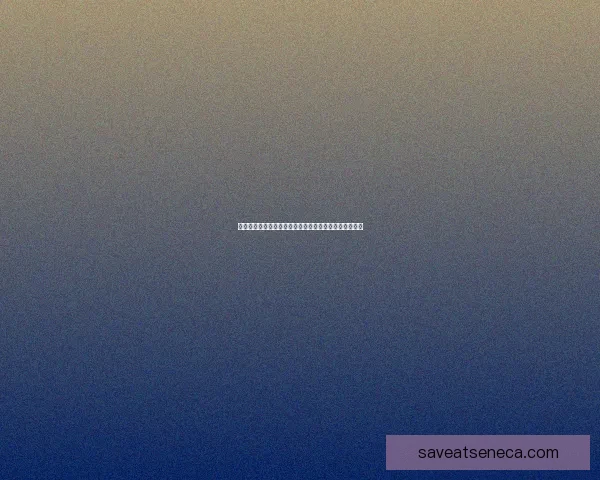 云端侍女的梦幻旅程与时光之歌解析之美丽与优雅的交织